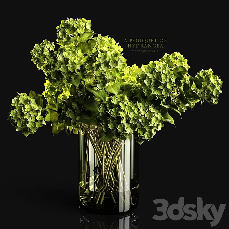 A bouquet of hydrangea 3DS Max