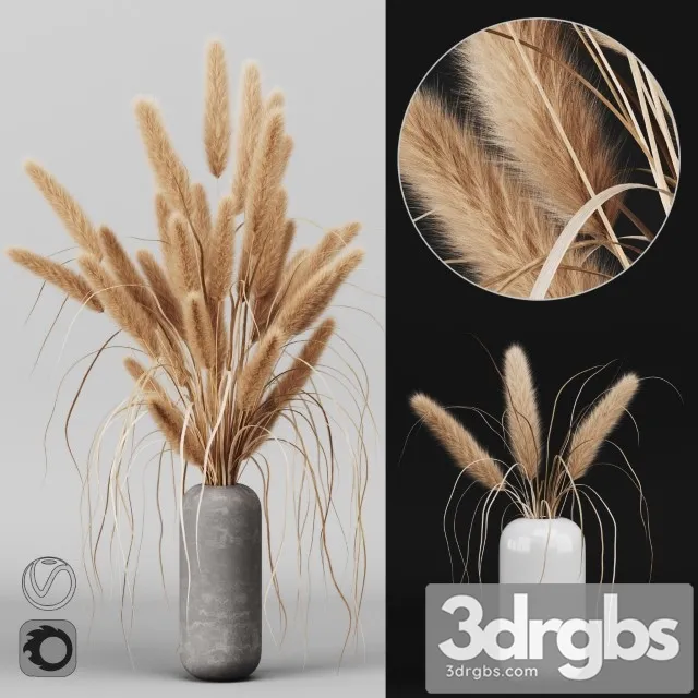 A Bunch of Pampas 2 3dsmax Download