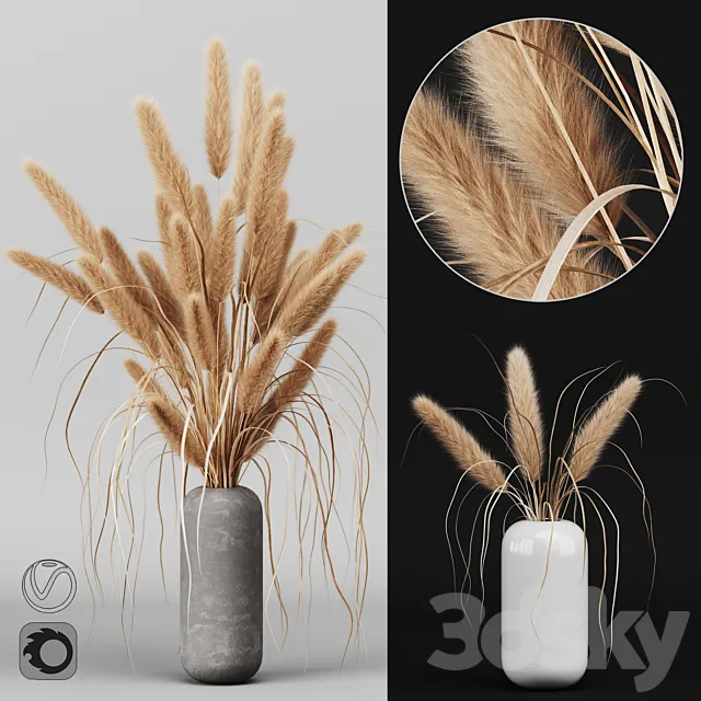 A bunch of Pampas 2 3DSMax File