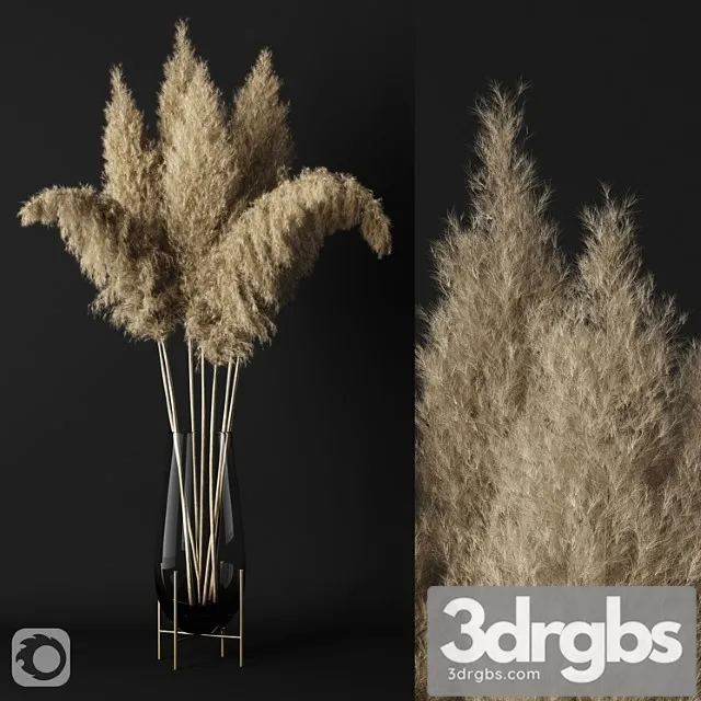 A Bunch Of Pampas 3dsmax Download