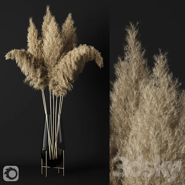 A bunch of pampas 3DS Max Model