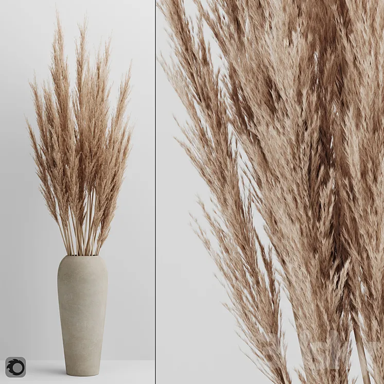 A bunch of Pampas 4 3DS Max