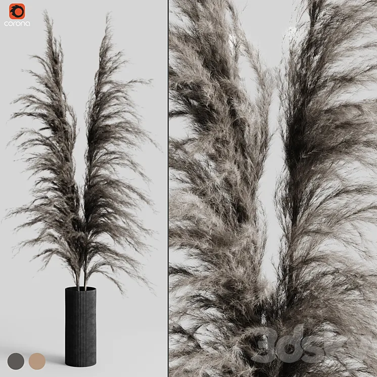 A bunch of Pampas 5 3DS Max