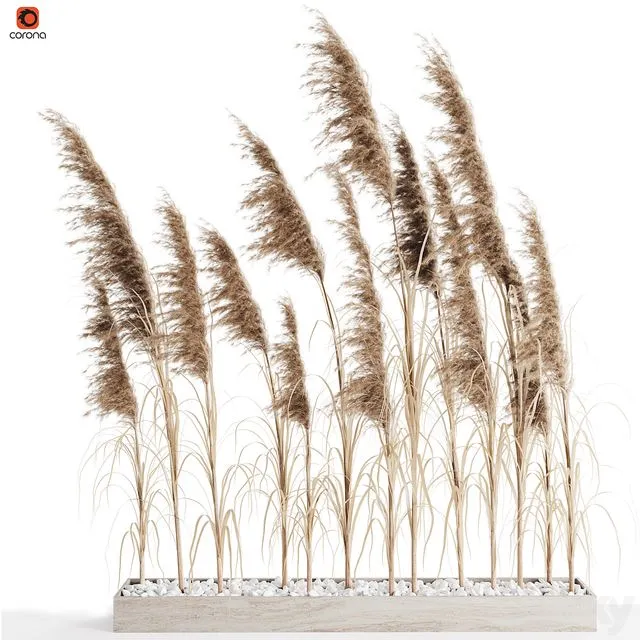 A bunch of Pampas 8 3dsMax Model