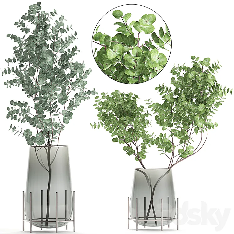 A collection of beautiful bouquets of branches with Eucalyptus leaves in a shelved vase. Set of 100. 3DS Max
