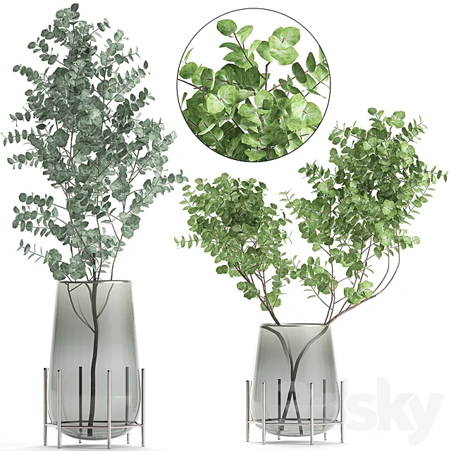 A collection of beautiful bouquets of branches with Eucalyptus leaves in a shelved vase. Set of 100. 3DSMax File