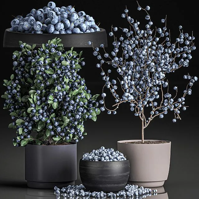 A collection of bouquets of branches with blueberries in black vases 3dsMax Model