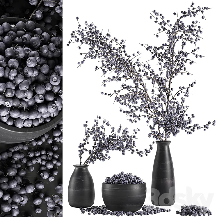 A collection of bouquets of branches with blueberries in black vases with blueberries a bowl with berries natural decor. Set 549. 3DS Max