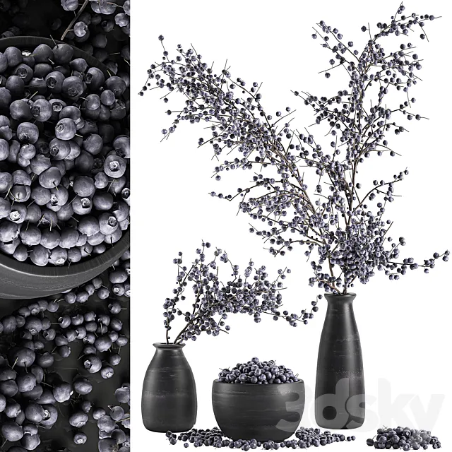 A collection of bouquets of branches with blueberries in black vases with blueberries. a bowl with berries. natural decor. Set 549. 3DSMax File