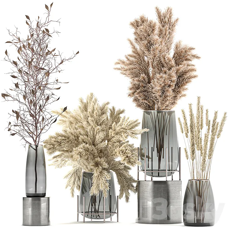 A collection of bouquets of dried flowers in glass vases with Pampas branches Cortaderia pampas grass reeds. Set 103. 3DS Max