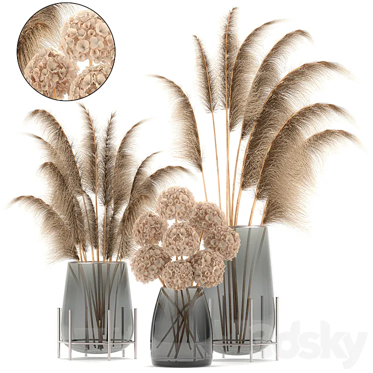 A collection of bouquets of dried flowers in glass vases with Pampas Hydrangea Cortaderia pampas grass reeds. Set 101. 3DS Max