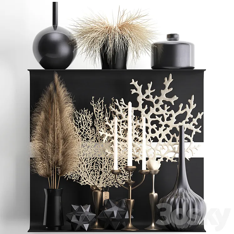 A collection of bouquets of dried flowers in vases on a black metal shelf with pampas coral Cortaderia candlestick. Set 12. 3DS Max Model