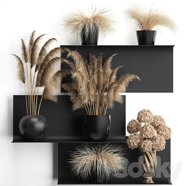 A collection of bouquets of dried flowers in vases on a black metal shelf with pampas. dry hydrangea. Cortaderia. Set 90. 3DSMax File