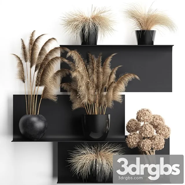 A collection of bouquets of dried flowers in vases on a black metal shelf with pampas, dry hydrangea, cortaderia. set 90.