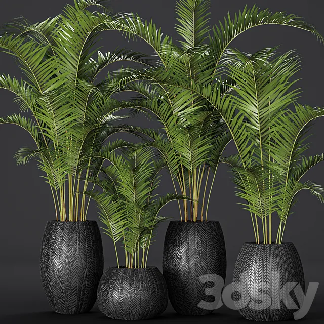 A collection of palms in pots 2. palm tree flower pot bush flowerpot 3ds Max