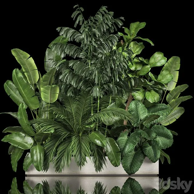A collection of plants for a home garden 1114 3dsMax Model