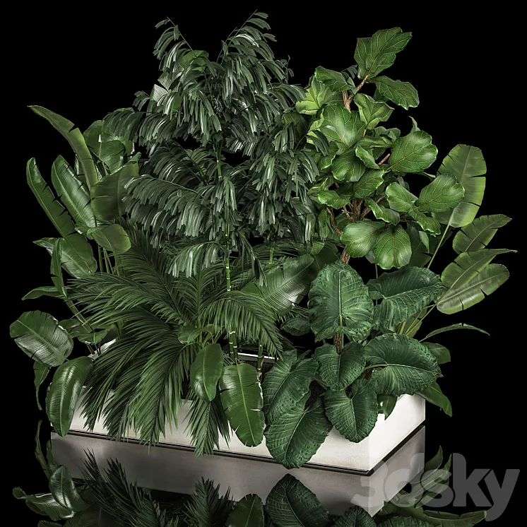 A collection of plants from a thicket of a home garden of palm strelitzia flowerpot ficus lirata. 1113. 3DS Max Model