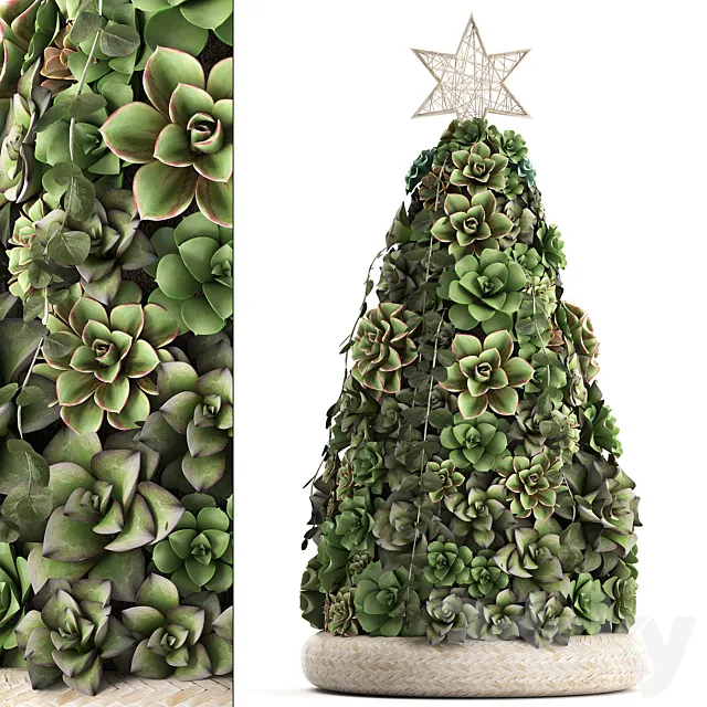 A collection of plants in a composition of succulents. Christmas tree. cake. Echeveria. decoration for the new year. Set 420. 3DSMax File