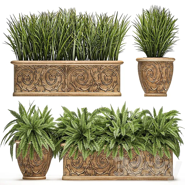 A collection of plants in classic outdoor pots vases with monograms with ferns. bushes. grass. flowerbed. Set 496. 3DSMax File