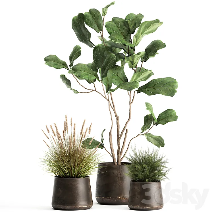 A collection of potted plants with a small Ficus lyrata tree with large leaves. Set 971. 3DS Max