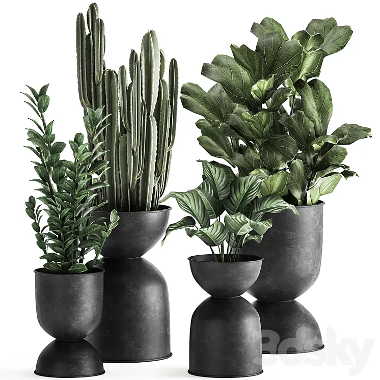 A collection of small exotic flowers in black metal pots Zamiokulkas cactus ficus. Set 887. 3DS Max