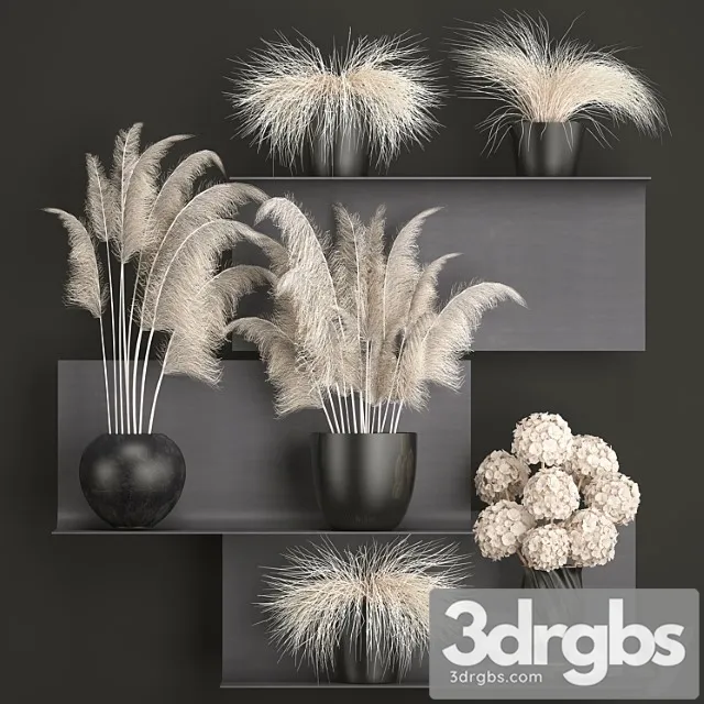 A collection of white bouquets of dried flowers in black vases on a metal shelf with branches of pampas, pampas grass, hydrangea. set 91.