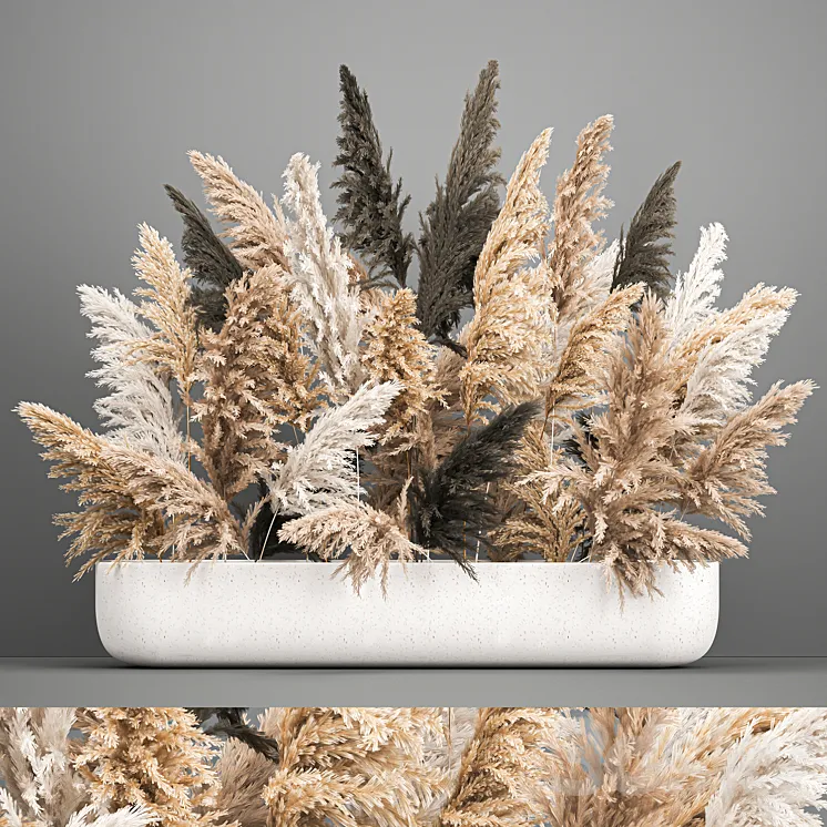 A large lush bouquet of dried flowers in a vase with pampas branches Cortaderia. 186. 3DS Max
