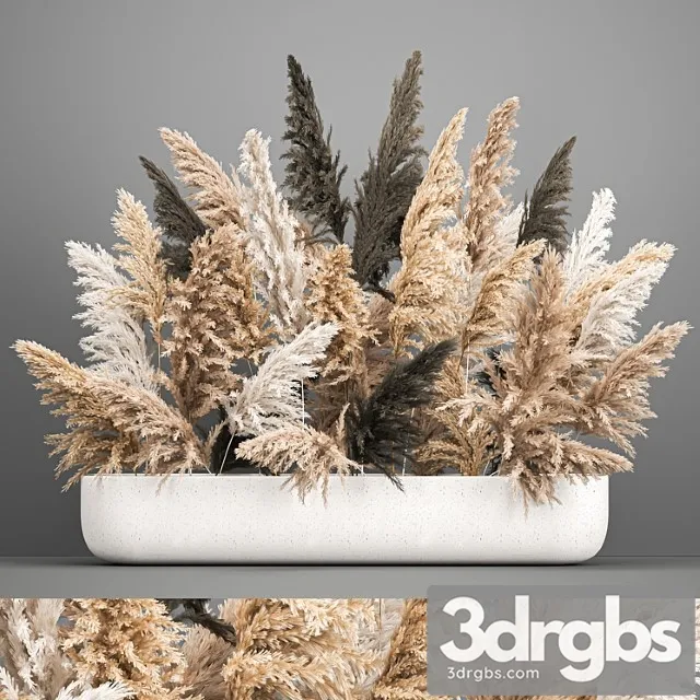 A large lush bouquet of dried flowers in a vase with pampas branches, cortaderia. 186.