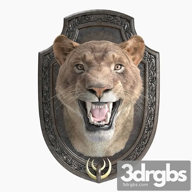 A lion 3dsmax Download