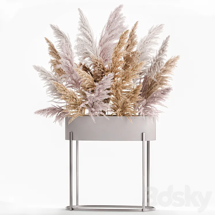 A lush bouquet of dried flowers with pink pampas grass a vase of Cortaderia branches. 190. 3DS Max