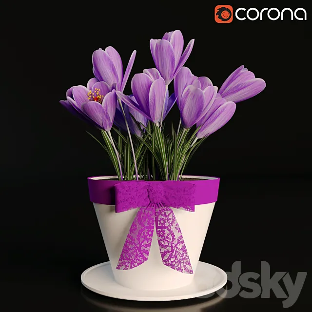 A pot of crocuses 3DSMax File