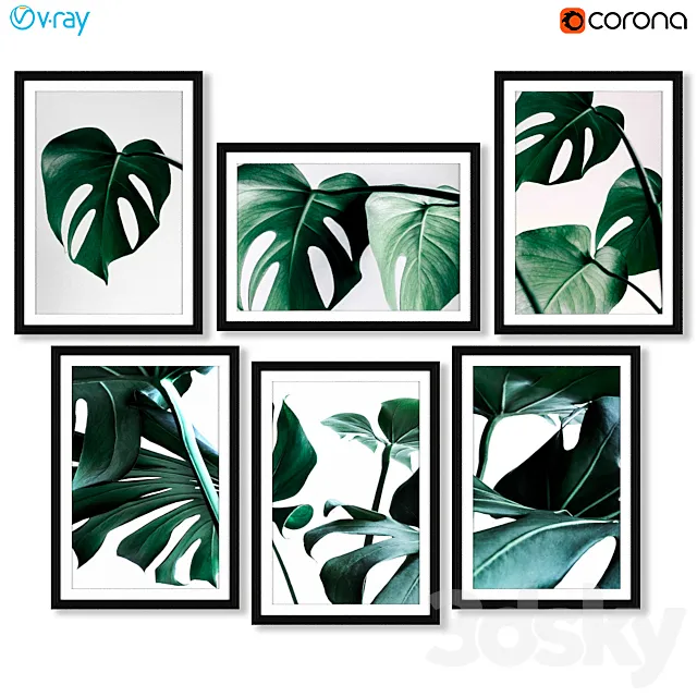 A series of posters with a Monster plant (Monstera) 3ds Max