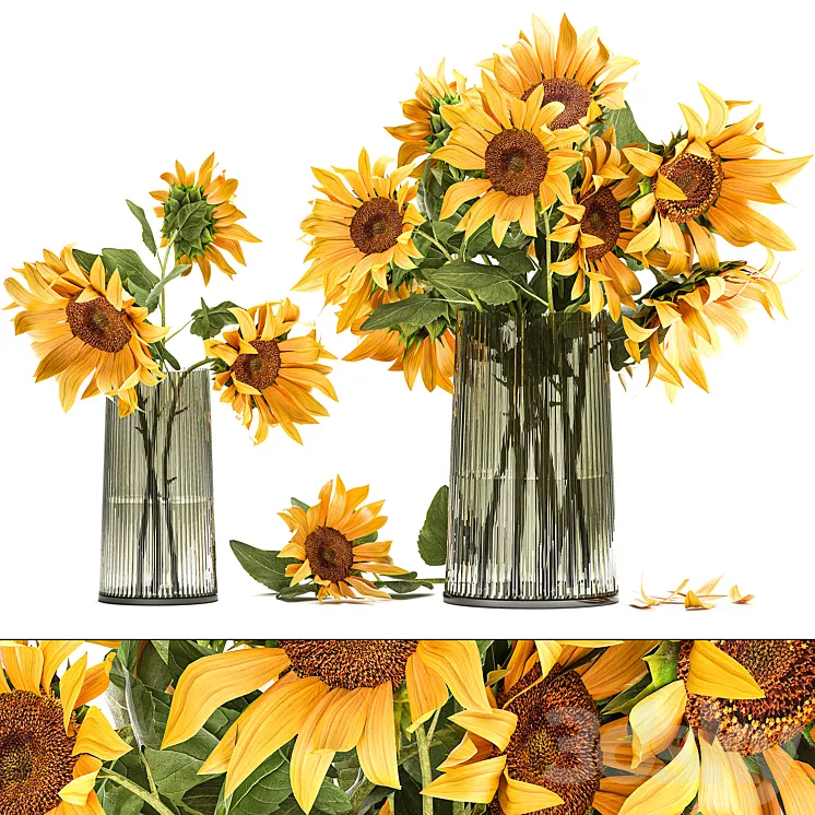 A set of beautiful bouquets of yellow flowers in a vase with Sunflower Sunflower. 119 3DS Max