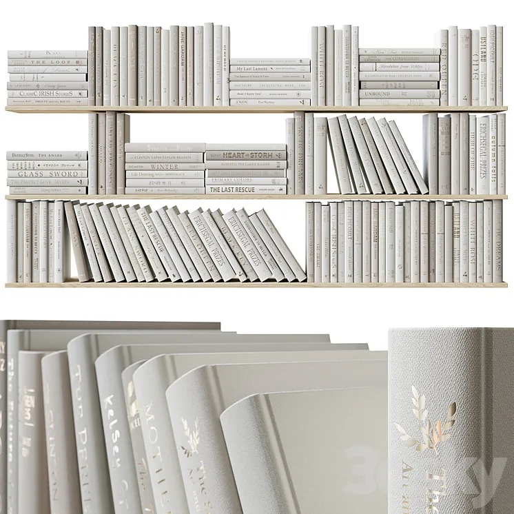 A set of beige books Books light beige 3DS Max Model