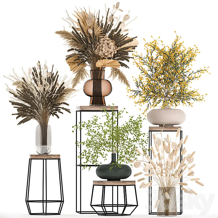 A set of bouquets of dried flowers in vases for decoration on shelves branches pampas grass. 216. 3DS Max Model