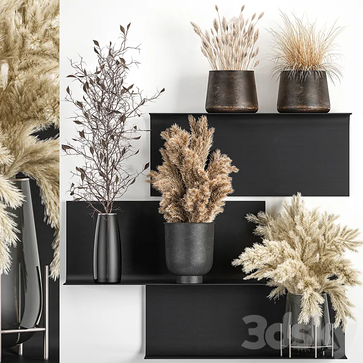 A set of bouquets of dried flowers in vases on a black metal shelf made of Pampas branches reeds. 119 3DS Max