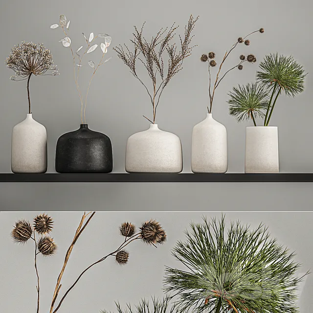 A set of bouquets of dried flowers in vases on the shelf with branches thorns lunnik hogweed. 210 3ds Max