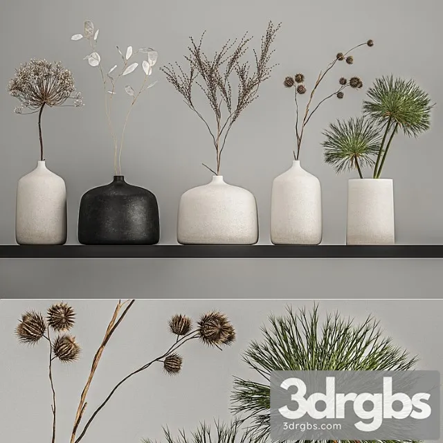 A set of bouquets of dried flowers in vases on the shelf with branches, thorns, lunnik, hogweed. 210