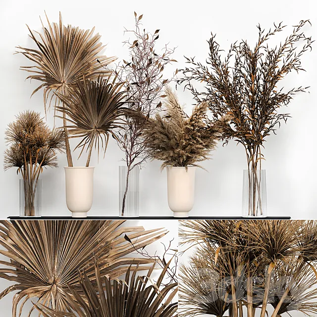 A set of bouquets of dried flowers in vases with Pampas branches dry palm leaf. 181 3dsMax Model