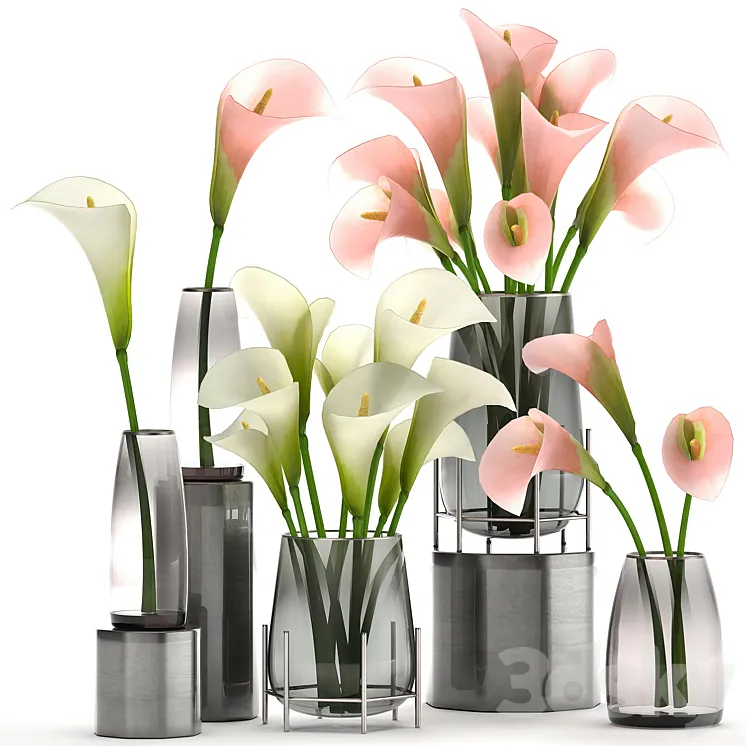 A set of bouquets of white and pink flowers in a glass vase of Calla sadovaya. 114. 3DS Max