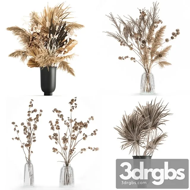 A Set of Flower Bouquets In Vases Of Dried Flowers palm Branch Pampas Grass Reed Grass Hydrangea Thorns 283 3dsmax Download