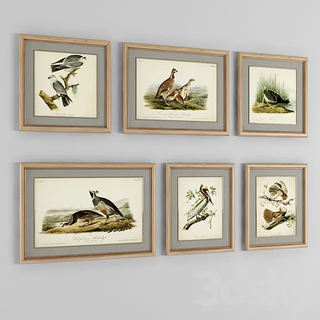 A set of posters. Birds 2 3ds Max