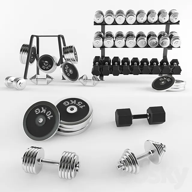 A set of sports dumbbells and pancakes on the racks. 3DS Max Model