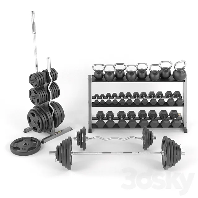 A set of weights for the gym from BodySolid 3DS Max Model