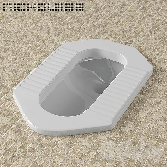 A Squat toilet 3DS Max Model