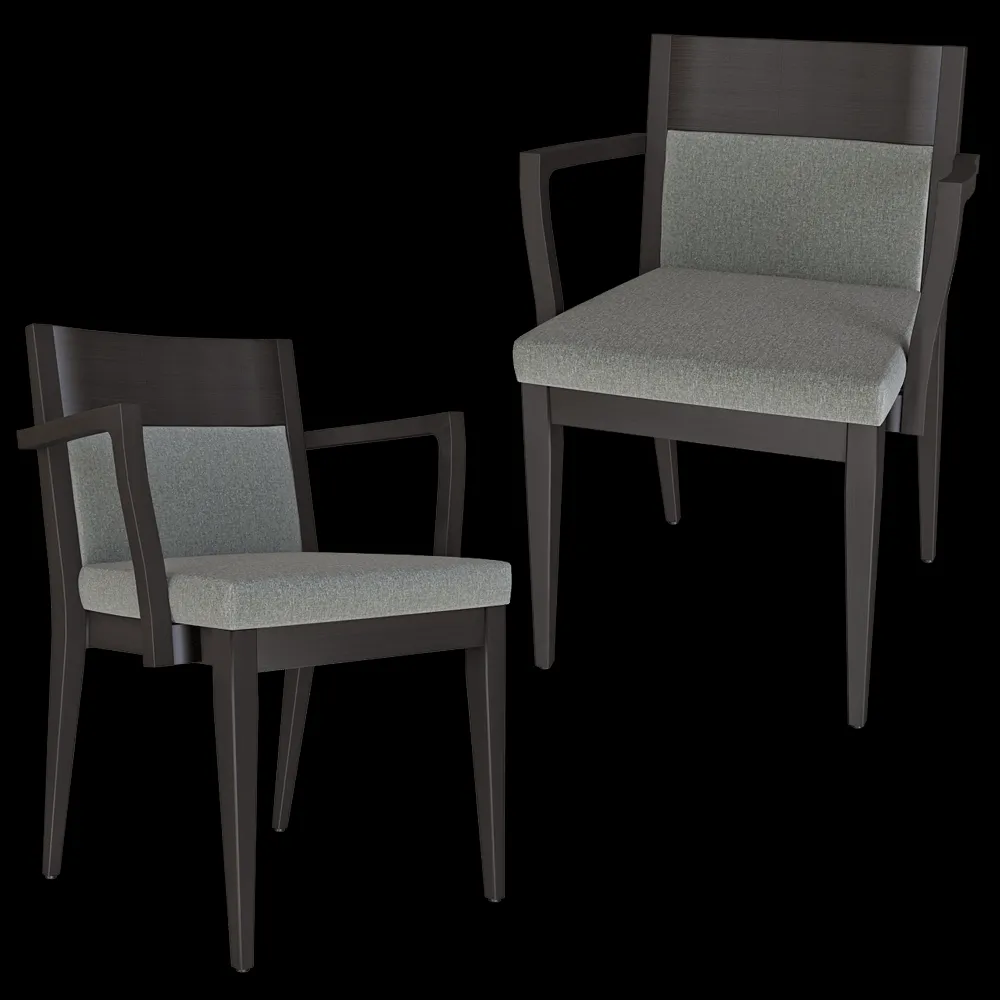 Accento SRL  – Chair Aloe 3ds Max