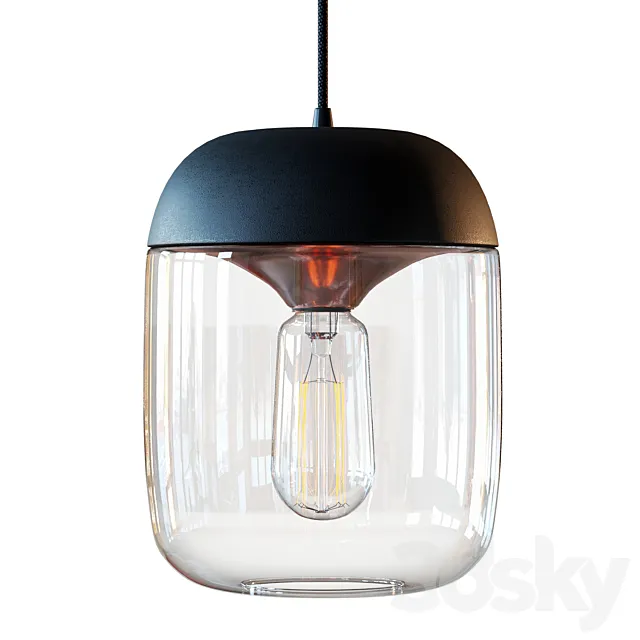 Acorn Black Hanging Lamp by Vita copenhagen 3DS Max Model