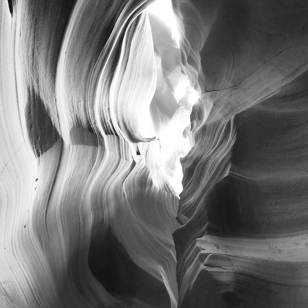 Affreschi & Affreschi  – Wallpaper AY-62 3ds Max