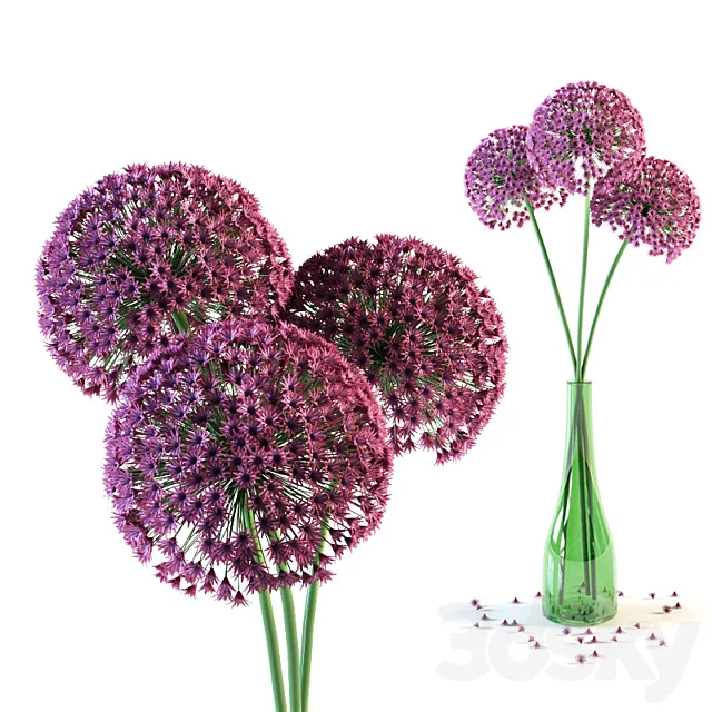 Allium flowers in vase 3DS Max Model