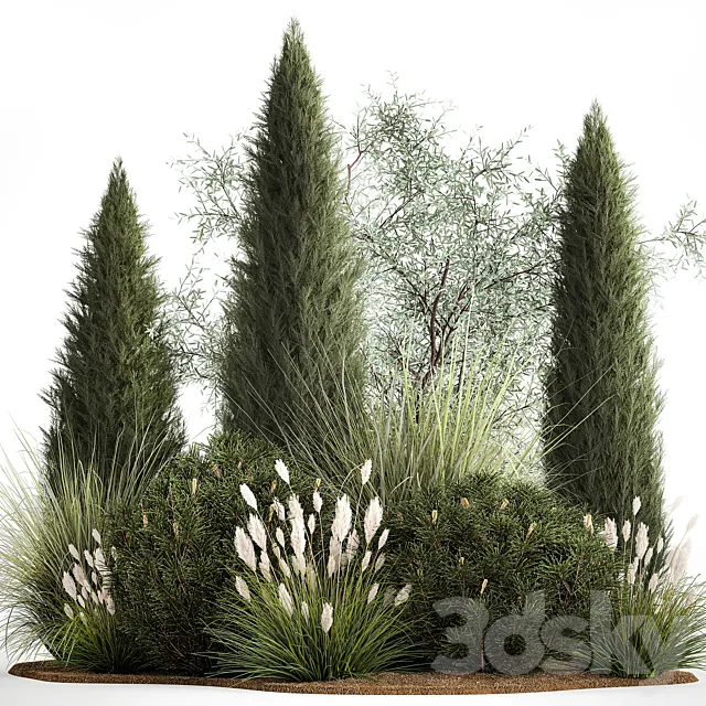 Alpine hill olive pine reed thuja and cypress feather grass grass silver goof. Plant collection 1188 3ds Max